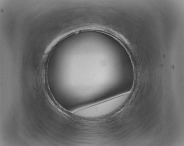 X0000080681504200612150725