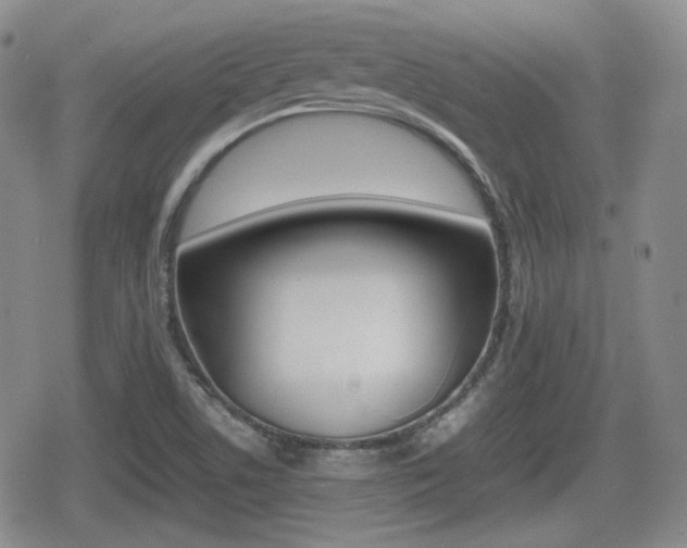 X0000080681506200612150725
