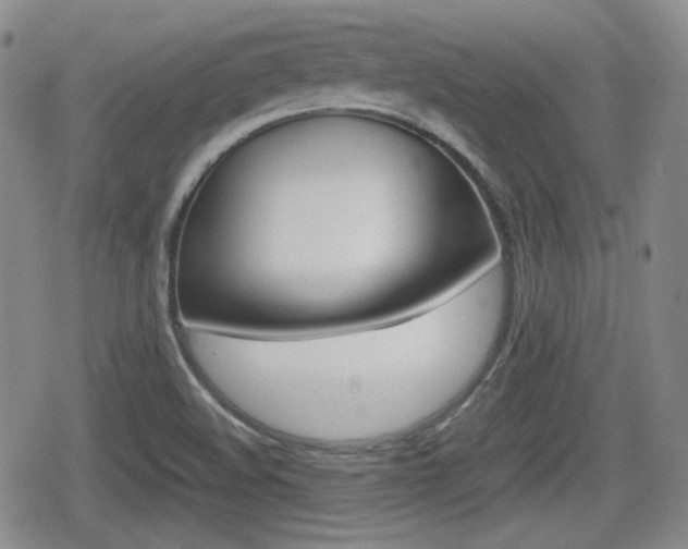 X0000080681508200612150725