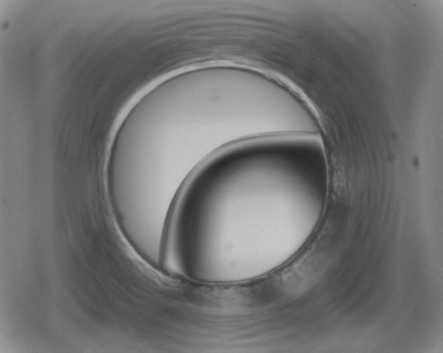 X0000080681516200612150725