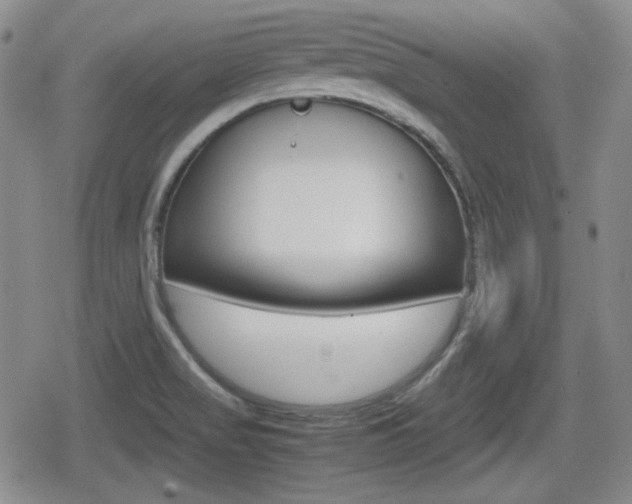 X0000080681517200612150725