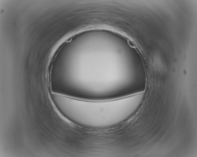 X0000080681519200612150725