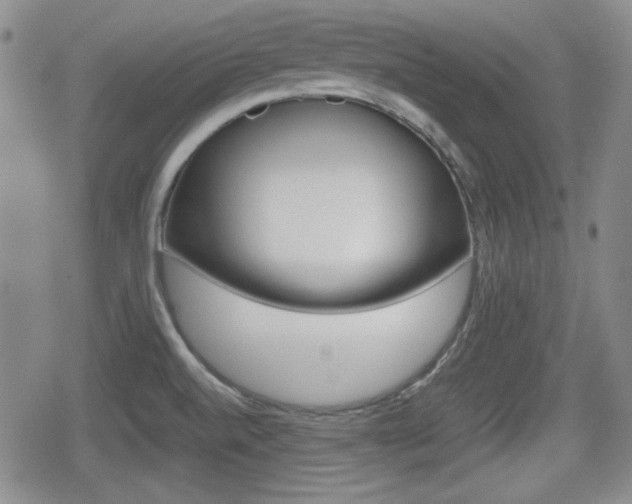 X0000080681520200612150725