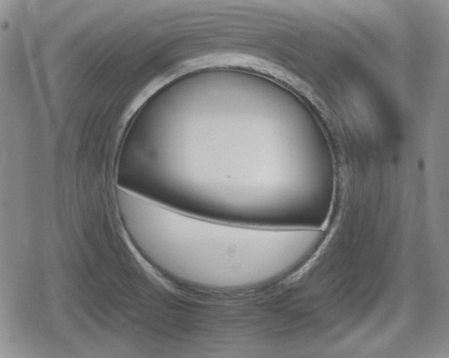 X0000080681521200612150725