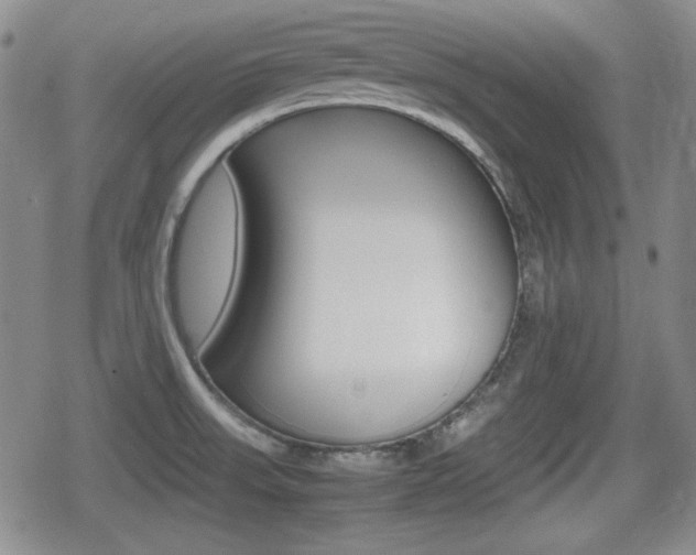 X0000080681523200612150725