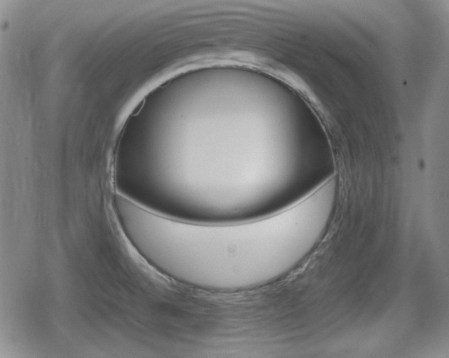 X0000080681524200612150725