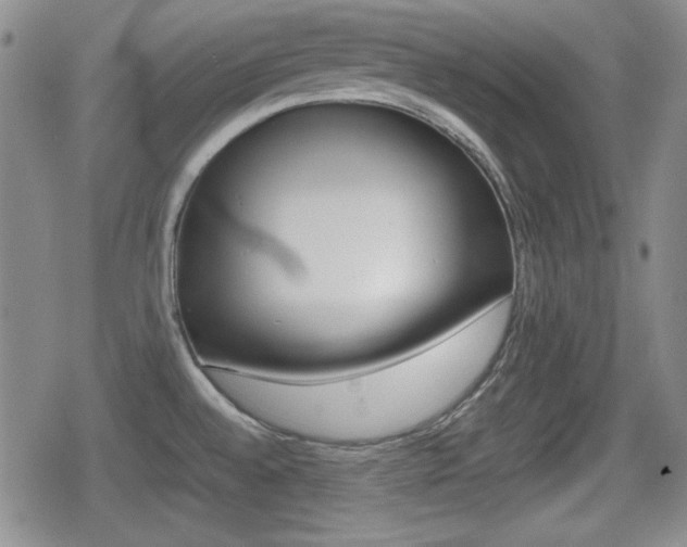 X0000080681528200612150725