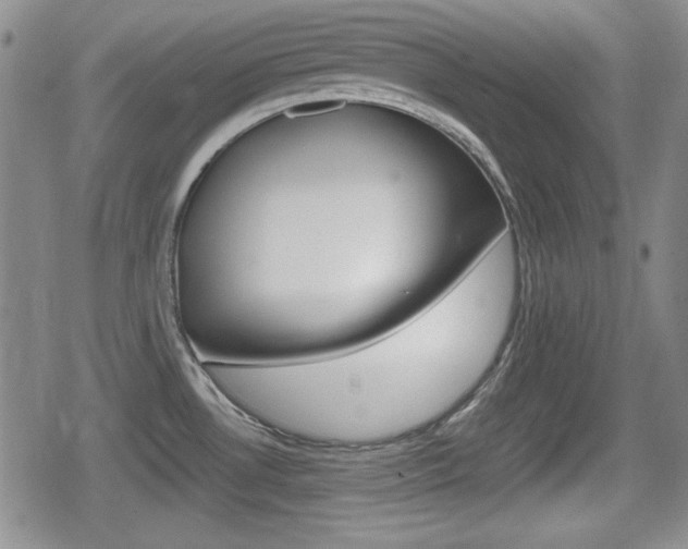 X0000080681530200612150725