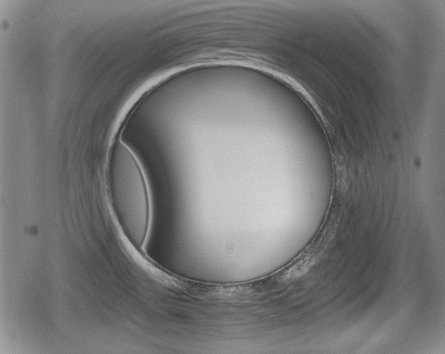 X0000080681531200612150725