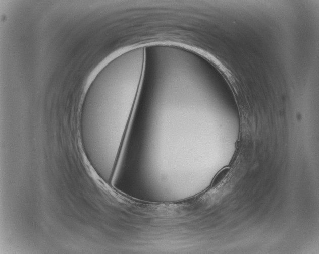 X0000080681534200612150725