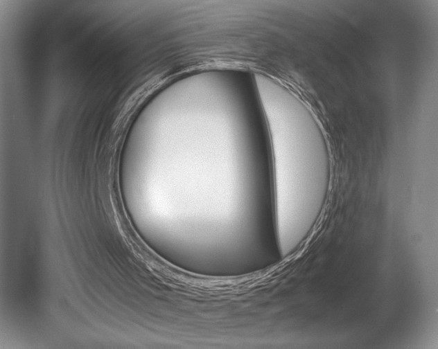 X0000080680001200612151235