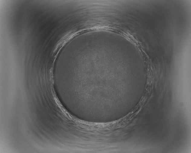 X0000080680002200612151235