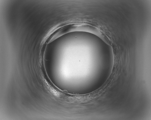 X0000080680005200612151235