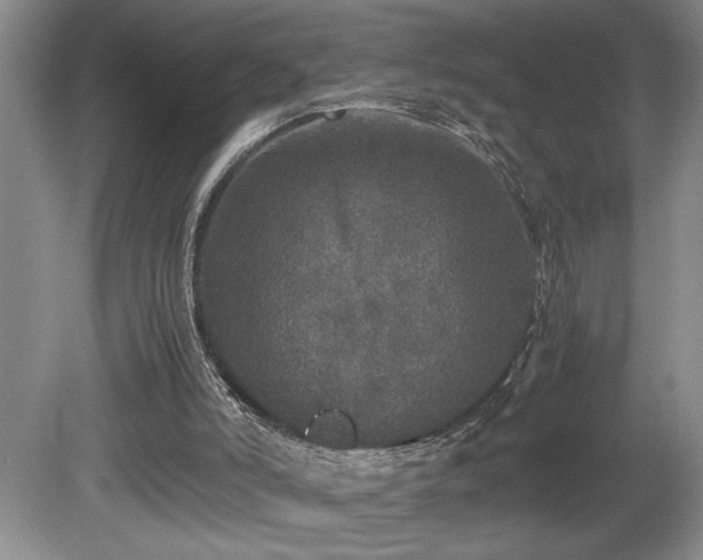 X0000080680006200612151235