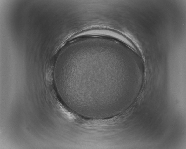 X0000080680009200612151235