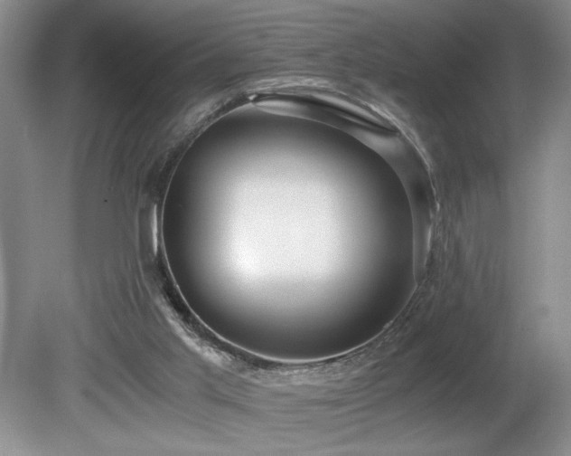 X0000080680013200612151235