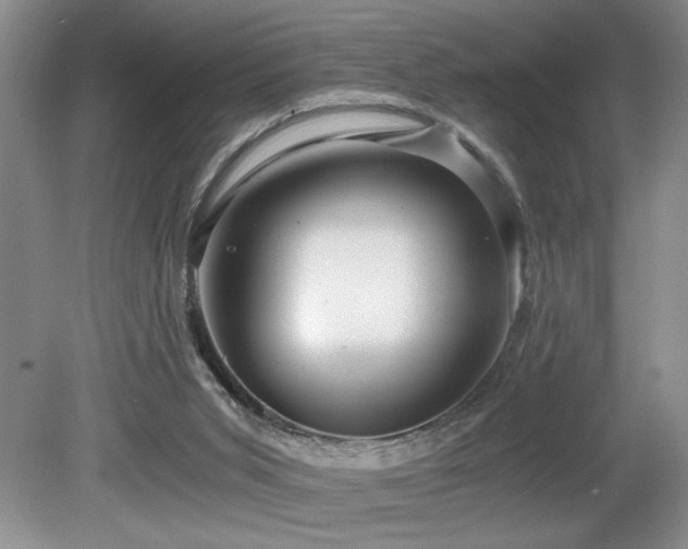 X0000080680015200612151235