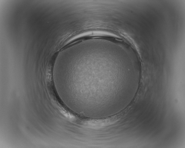 X0000080680017200612151235