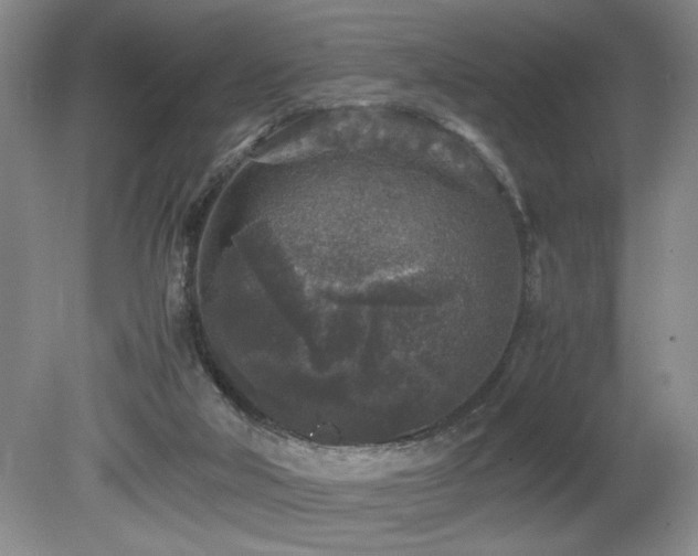 X0000080680018200612151235