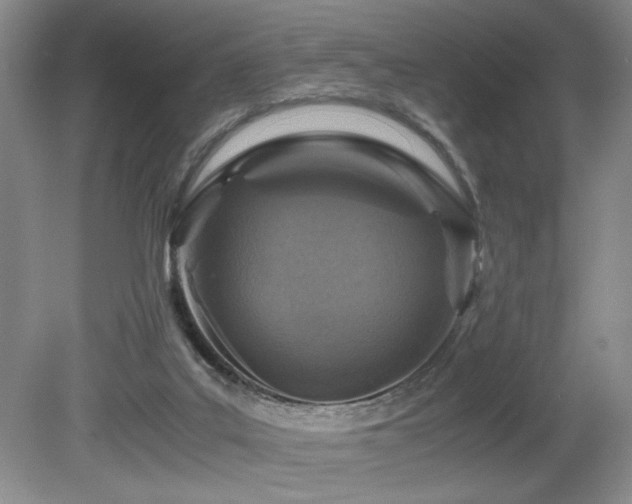 X0000080680019200612151235