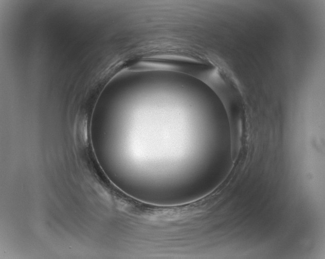 X0000080680021200612151235