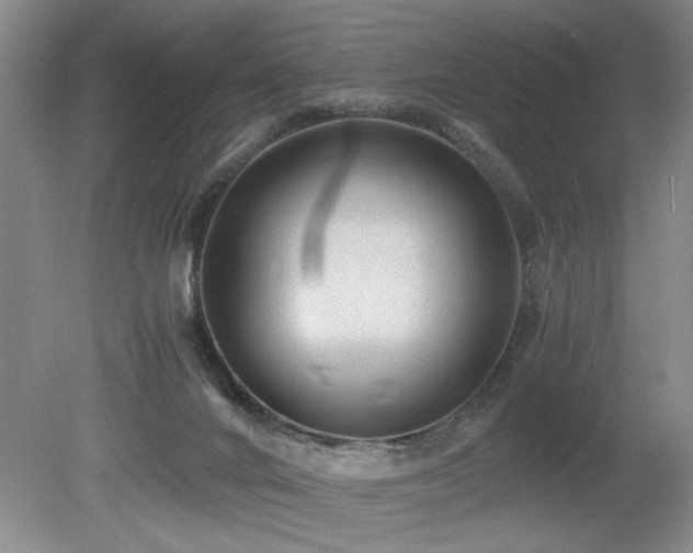 X0000080680024200612151234