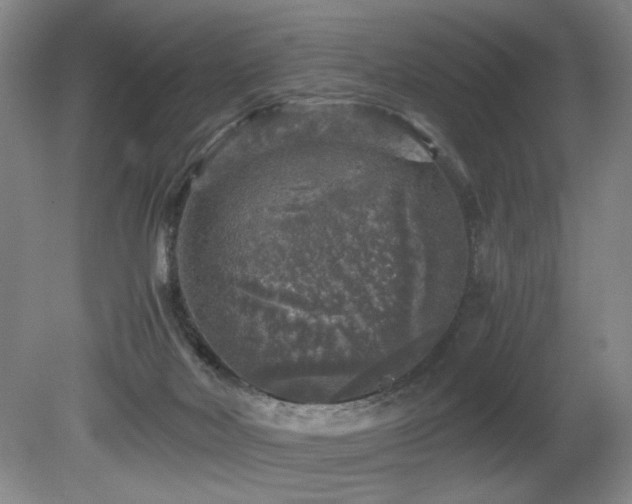X0000080680026200612151234