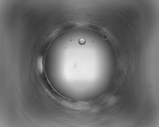 X0000080680028200612151234