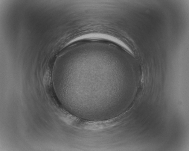 X0000080680029200612151234