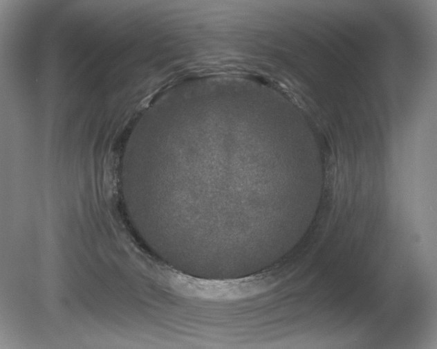 X0000080680030200612151234