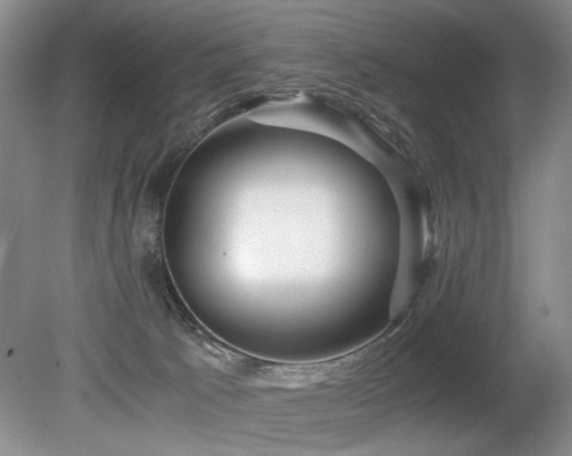 X0000080680033200612151234