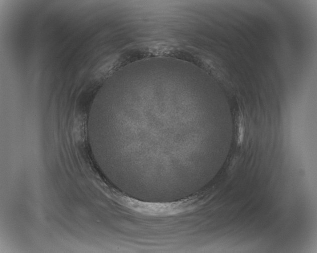 X0000080680034200612151234