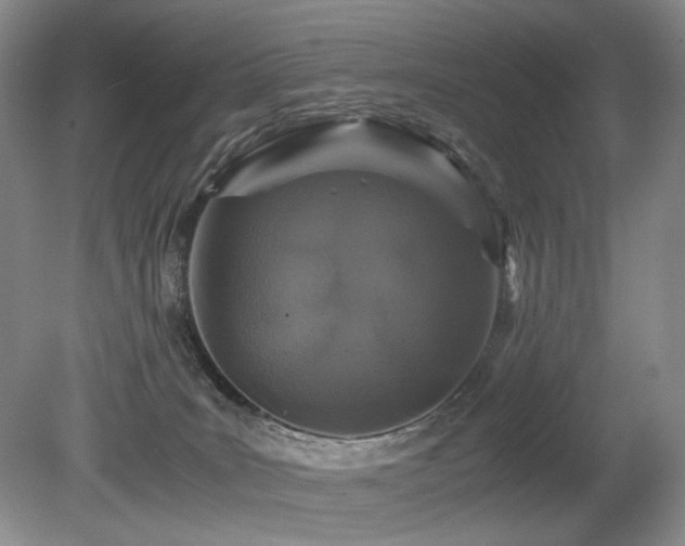 X0000080680035200612151234