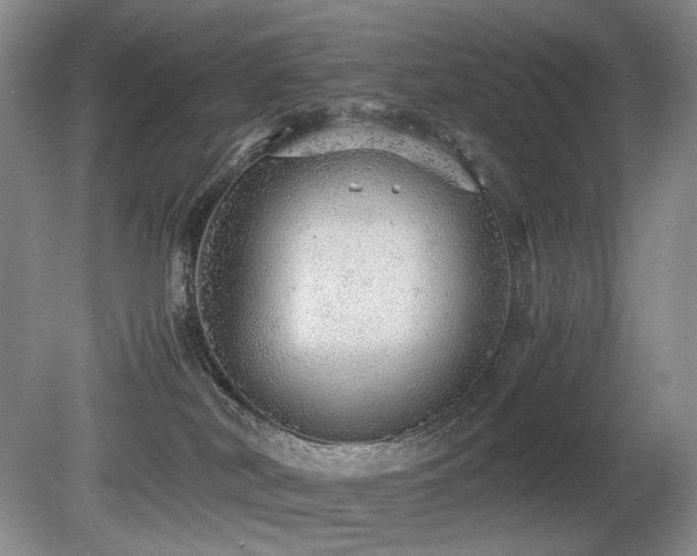 X0000080680038200612151234