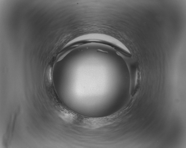 X0000080680041200612151234