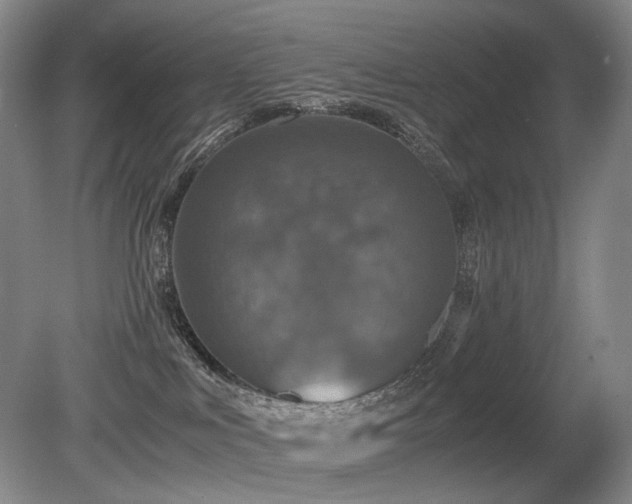 X0000080680043200612151234