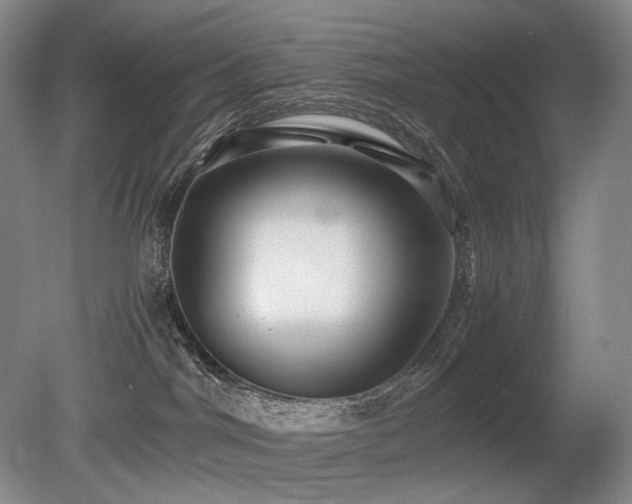 X0000080680044200612151234
