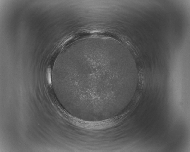 X0000080680046200612151234