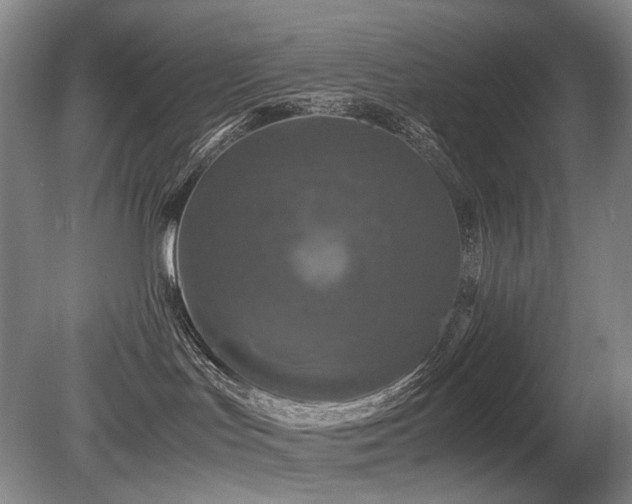 X0000080680047200612151234