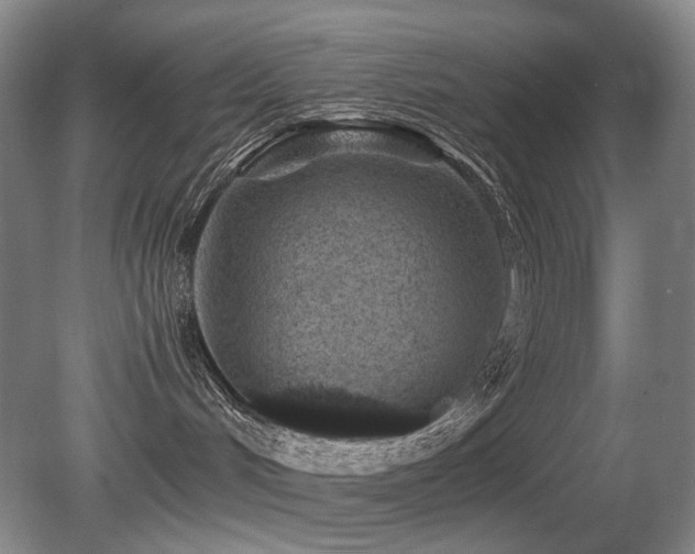 X0000080680048200612151234