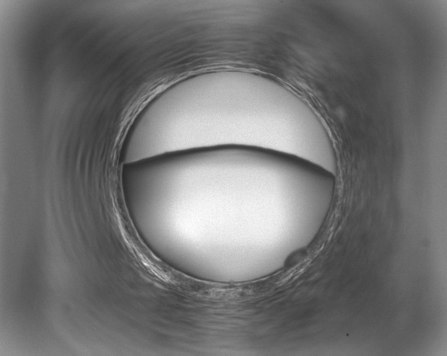 X0000080680049200612151233