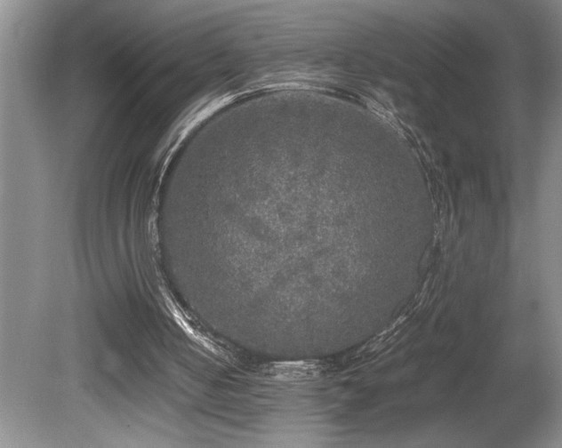 X0000080680050200612151233