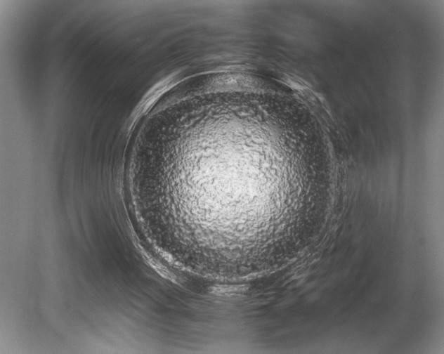X0000080680051200612151233