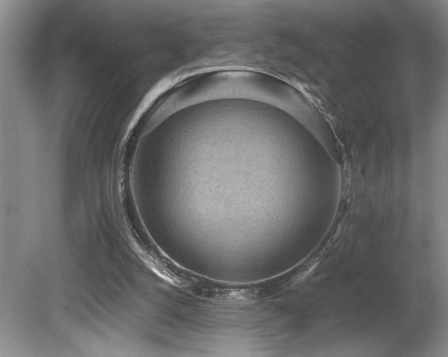 X0000080680056200612151233