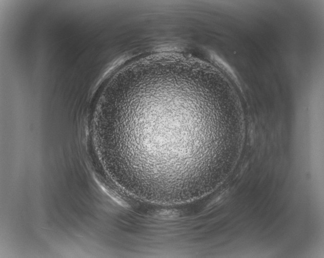 X0000080680059200612151233