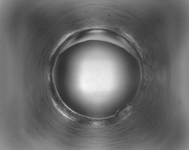 X0000080680060200612151233