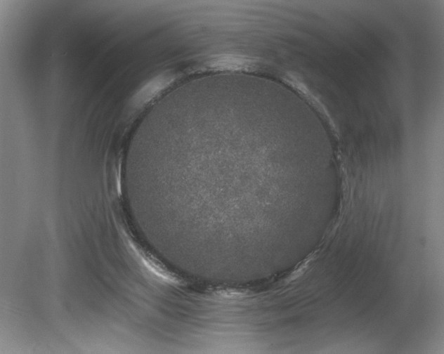 X0000080680062200612151233