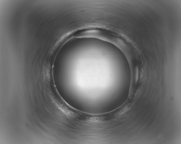 X0000080680064200612151233