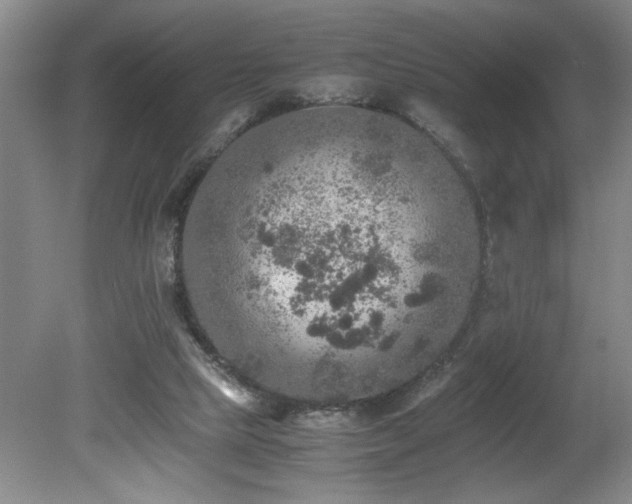 X0000080680065200612151234
