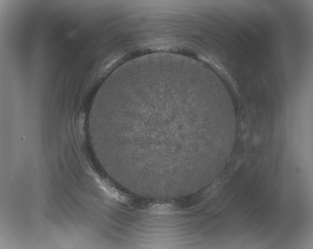 X0000080680066200612151234
